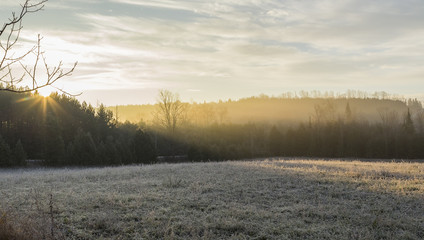 frost on rural landscape at sunrise
