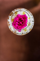 Closeup photo of rose in the glass