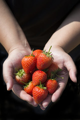 fresh strawberries in human hand