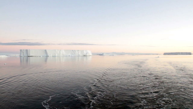 Wake of ship sailing through calm waters of Antarctic Sound, Antarctica with field of tabular icebergs at sunset.
