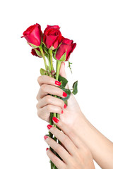 Woman hands with red nails holding a bunch of roses on a white background