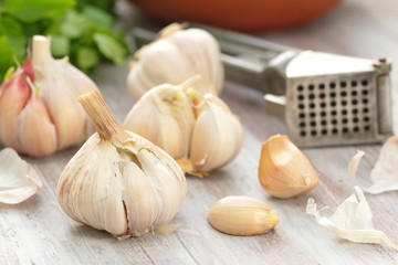 Garlic on the table