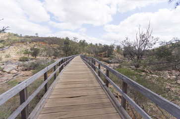 Fototapeta premium Swan river walkway