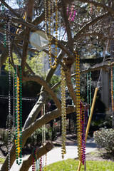 Colorful Mardi Gras beads hanging in a tree near the sidewalk in New Orleans