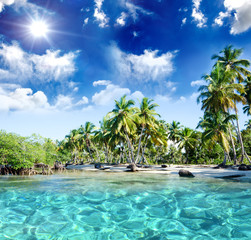 Entspannung, Relaxen: Traumurlaub an einem einsamen Strand in der Karibik :)