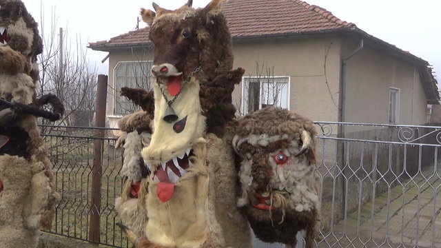 Bulgarian mummers' masks on Surva celebration