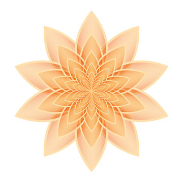 Lotus flower orange
