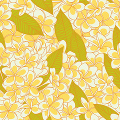 Seamless pattern with plumeria flowers
