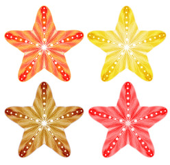 Colorful Starfish Set Isolated. Vector Illustration, EPS10. Perfect for any other kind of design.