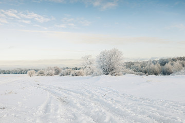 Fototapeta na wymiar Winter in the country