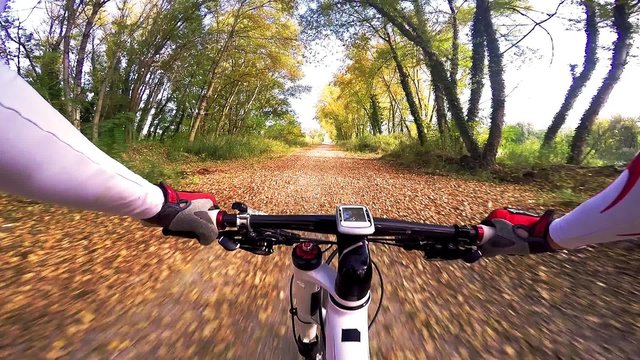 Onboard camera, Cyclist riding mountain bike in the wood. Pov original point of view. Video from action cam