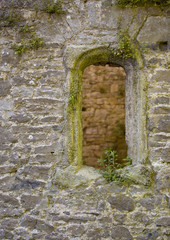 Window in Old Castle Ruins. An old window frames stands in stone in a stone wall of an old castle in Wales. The window has plants and moss growing out of it.