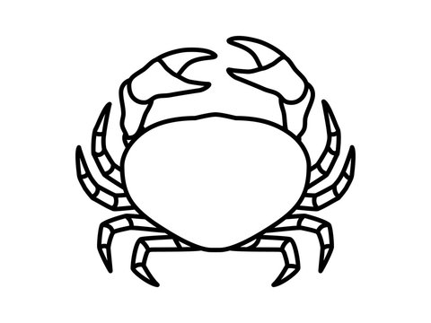Crab or crustacean line art icon for food apps and websites