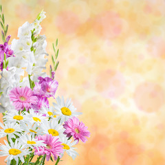 Holiday Nature Floral Background