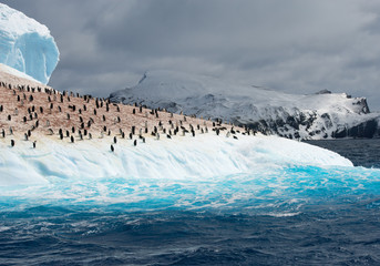 Colony of penguins on iceberg washed by blue water, with mountain and clouds in background, South Sandwich Islands, Antarctica