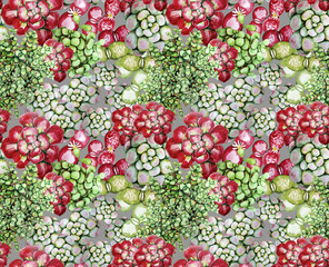 Watercolor succulent pattern