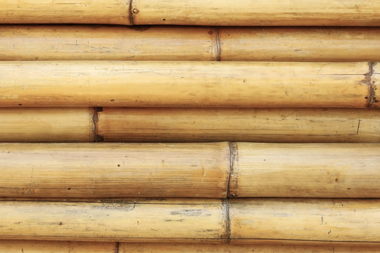 Dried bamboo trunks stacked on each other