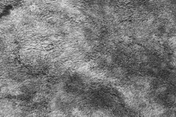 Sheepskin fur texture