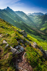 Obraz premium Dawn in the Tatra Mountains in summer