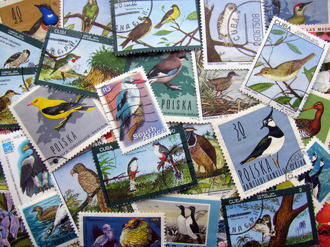 Bird stamps background