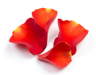 Red rose petals