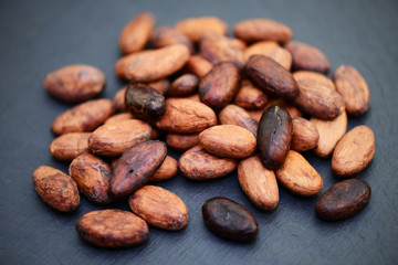 Kakao Bohnen