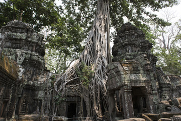 Fototapeta na wymiar Ruinas y templos de Angkor Wat, el templo de Bayon, Banteay Kdei, Templo Ta Prohm, Preah Khan. Camboya. 