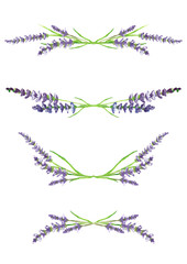 watercolor lavender branches, design elements, illustration