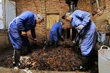 farmers making wine of grape  in traditional winepress  in  Villarejo de Orbigo, Leon , España;...