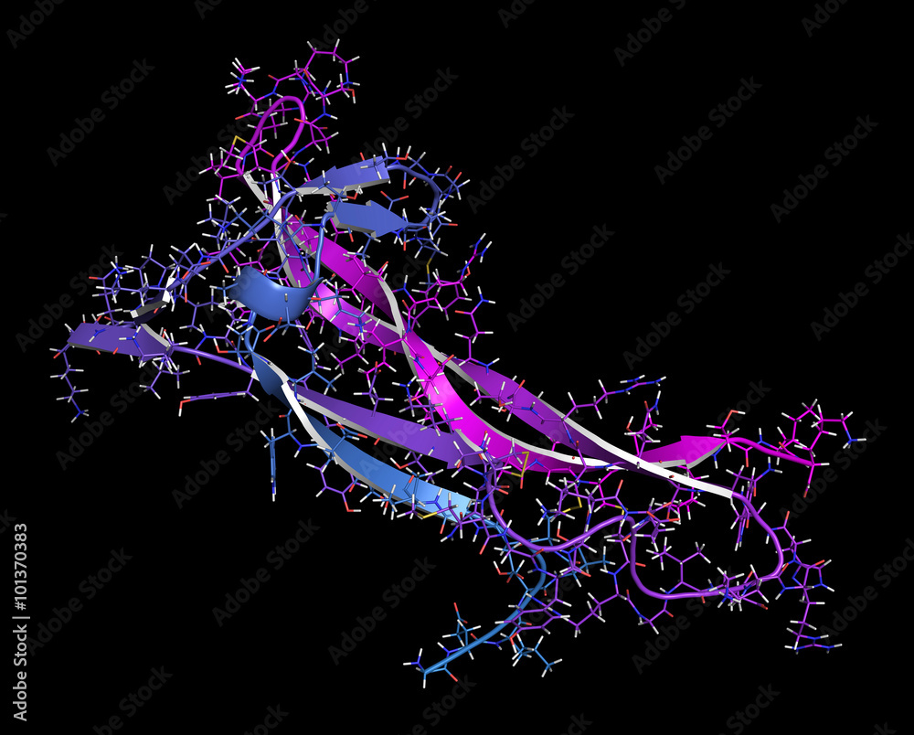 Sticker Brain-derived neurotrophic factor (BDNF) protein molecule.