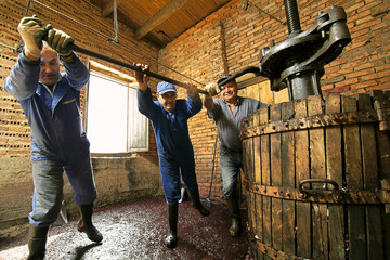 farmers making wine of grape  in traditional winepress  in  Villarejo de Orbigo, Leon , España;...