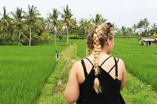 Ubud Rice Fields, Bali