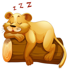 Little lion cup sleeping on the log
