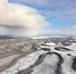 Forest river in winter, top view