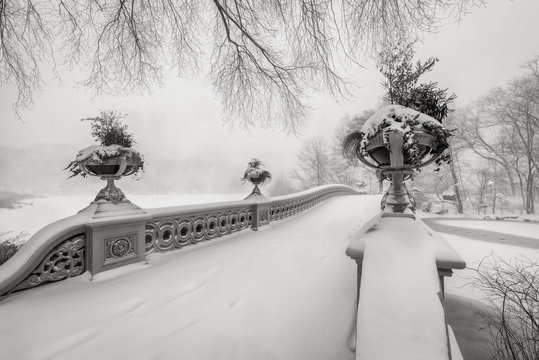Fototapeta Black & White view of the Bow Bridge in Central Park covered in snow during the blizzard of January 2016. Freezing winter in Manhattan, New York City