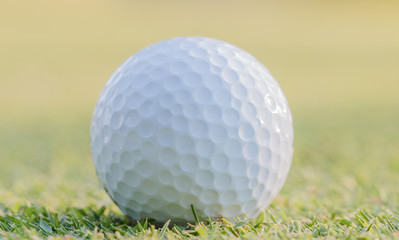 Golf ball on green grass.
