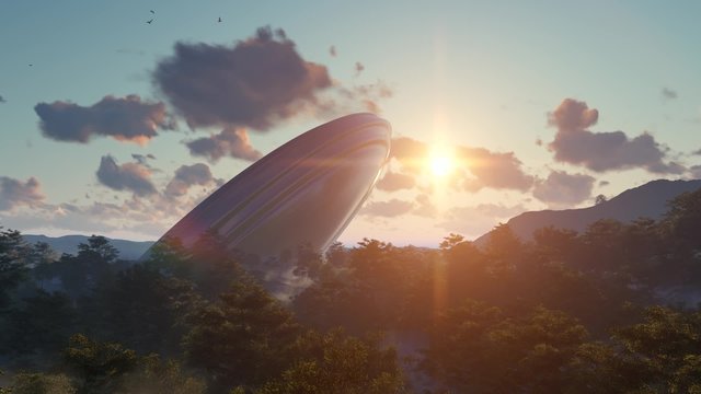 UFO crash into a forest