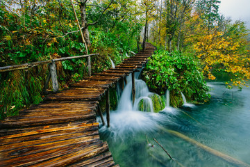 Deep forest stream with crystal clear water with pathway. Plitvice lakes, Croatia 