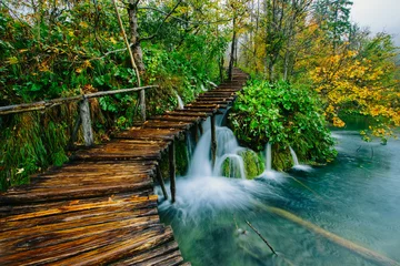 Printed roller blinds Road in forest Deep forest stream with crystal clear water with pathway. Plitvice lakes, Croatia 