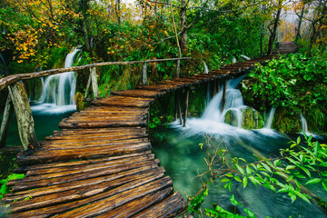 Deep forest stream with crystal clear water with wooden pahway. Plitvice lakes, Croatia UNESCO world heritage site