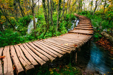 Beautiful wooden bridge pathway in the deep forest over a turquoise colored water creek in Plitvice, Croatia, UNESCO world heritage