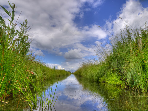 Freshwater ditch in dutch polder landscape