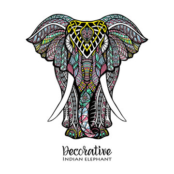 Elephant Colored Illustration