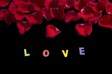 Red rose petals and colorful word "LOVE"  on a black background.