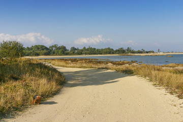 Obraz premium Paseo peatonal bordeando la costa