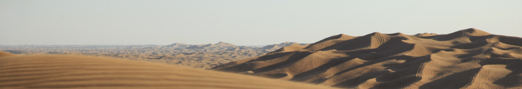 Arabian desert