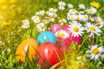 Obraz na płótnie Canvas Colorful Easter eggs in grass with daisy flowers