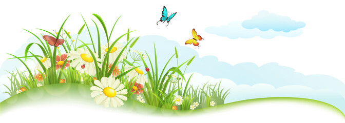 Fototapety  Zielony transparent wiosna lato z trawą, kwiatami, motylami i chmurami