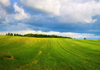 Field of green grass and cloudy sky. Meadow on a sunny summer day. Scenic rural landscape.