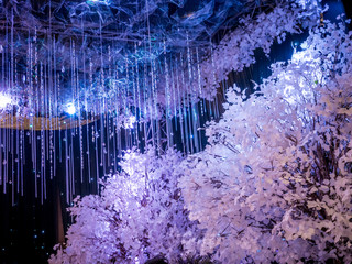 White Winter Wedding Decoration in Black Ballroom